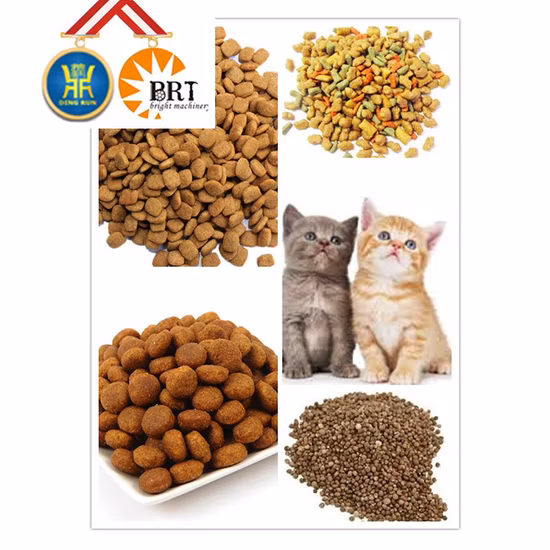 China Fábrica Animal Animal de Estimação Cão Gato Flutuante Máquina de Produção de Pellet de Alimentação de Peixe Snacks Processamento de Alimentos Fazendo Linha de Extrusão