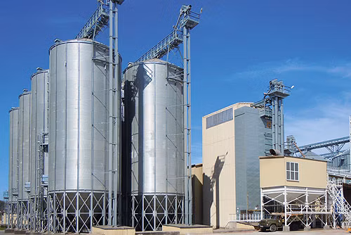 2020 novo design flutuando e afundando máquinas de processamento de alimentação de peixe fazendo linha de produção de equipamentos extrusores